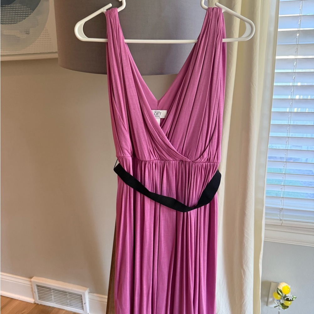Ann Taylor Loft Medium Petite Dress